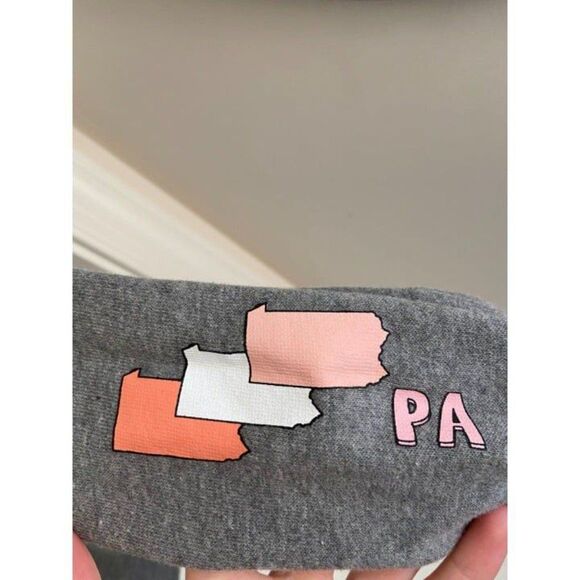 Gray Pennsylvania Sweatshirt (XL) - Picture 3 of 4